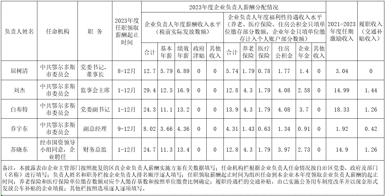企業(yè)負(fù)責(zé)人.png